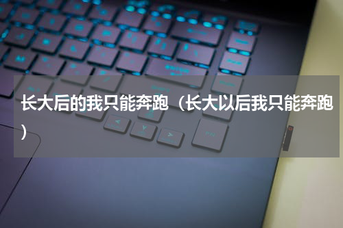 长大后的我只能奔跑（长大以后我只能奔跑）