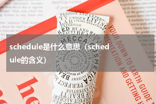 schedule是什么意思（schedule的含义）
