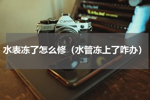 水表冻了怎么修（水管冻上了咋办）