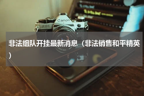 非法组队开挂最新消息（非法销售和平精英）