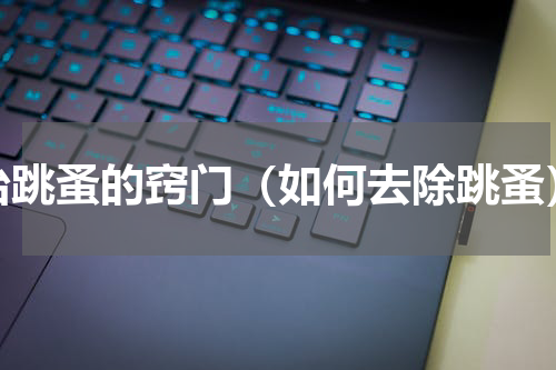 治跳蚤的窍门（如何去除跳蚤）