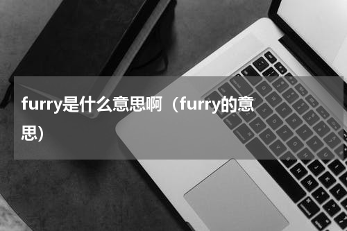 furry是什么意思啊（furry的意思）