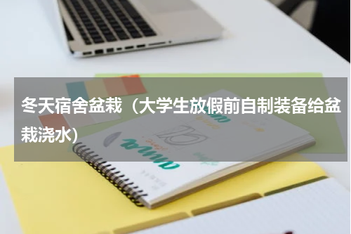 冬天宿舍盆栽（大学生放假前自制装备给盆栽浇水）