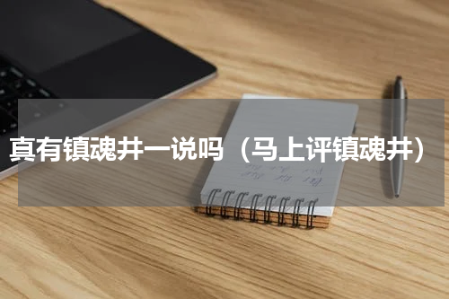 真有镇魂井一说吗（马上评镇魂井）