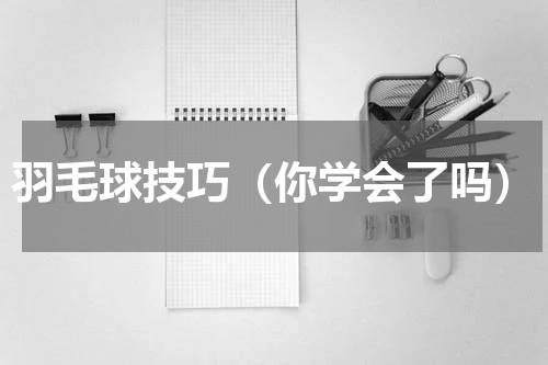 羽毛球技巧（你学会了吗）