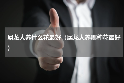 属龙人养什么花最好（属龙人养哪种花最好）
