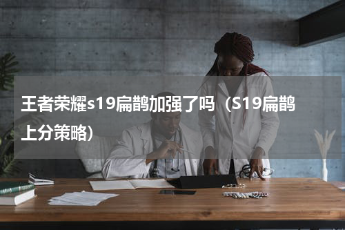 王者荣耀s19扁鹊加强了吗（S19扁鹊上分策略）