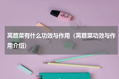 莴苣菜有什么功效与作用（莴苣菜功效与作用介绍）