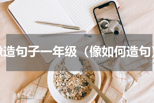 像造句子一年级（像如何造句）