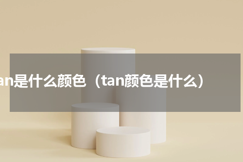 tan是什么颜色（tan颜色是什么）
