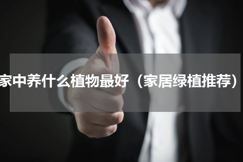 家中养什么植物最好（家居绿植推荐）