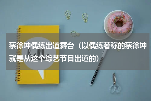 蔡徐坤偶练出道舞台（以偶练著称的蔡徐坤就是从这个综艺节目出道的）