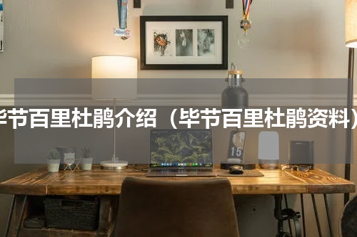毕节百里杜鹃介绍（毕节百里杜鹃资料）