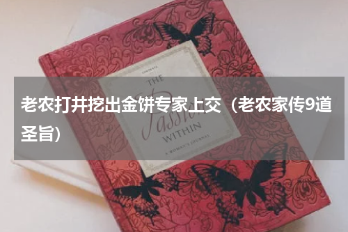 老农打井挖出金饼专家上交（老农家传9道圣旨）