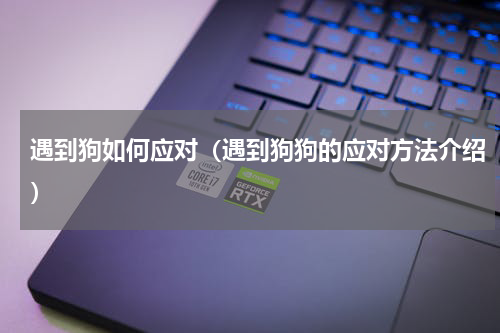 遇到狗如何应对（遇到狗狗的应对方法介绍）