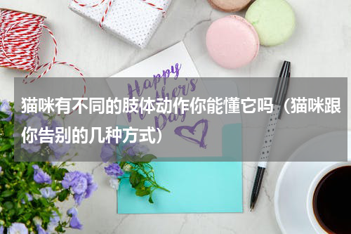 猫咪有不同的肢体动作你能懂它吗（猫咪跟你告别的几种方式）