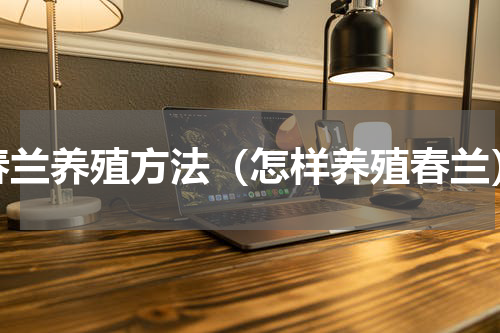 春兰养殖方法（怎样养殖春兰）