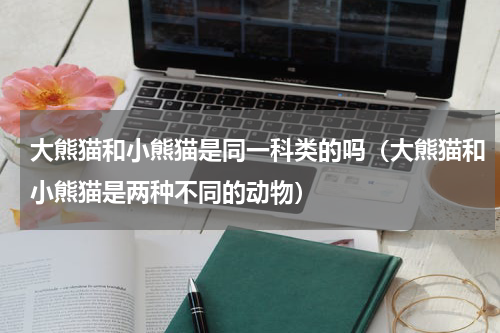 大熊猫和小熊猫是同一科类的吗（大熊猫和小熊猫是两种不同的动物）