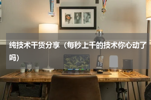 纯技术干货分享（每秒上千的技术你心动了吗）
