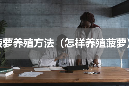 菠萝养殖方法（怎样养殖菠萝）