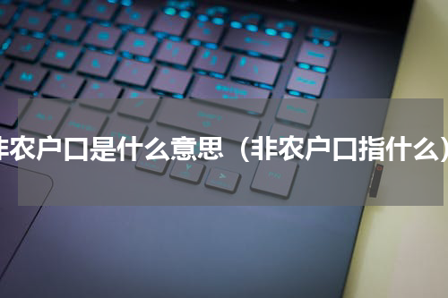 非农户口是什么意思（非农户口指什么）