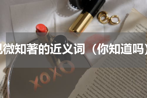 见微知著的近义词（你知道吗）