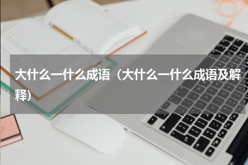 大什么一什么成语（大什么一什么成语及解释）