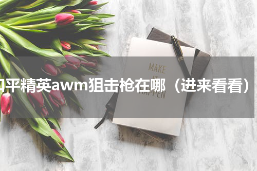 和平精英awm狙击枪在哪（进来看看）