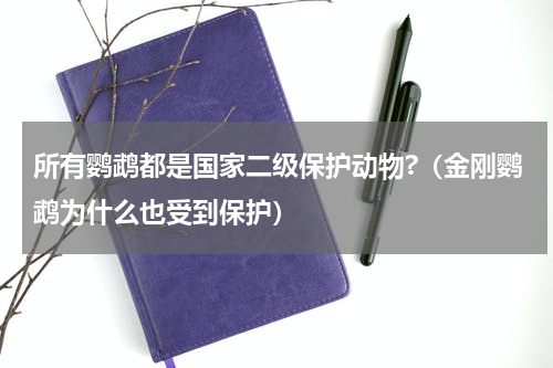 所有鹦鹉都是国家二级保护动物?（金刚鹦鹉为什么也受到保护）