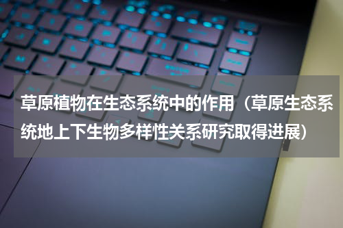草原植物在生态系统中的作用（草原生态系统地上下生物多样性关系研究取得进展）