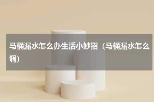 马桶漏水怎么办生活小妙招（马桶漏水怎么调）