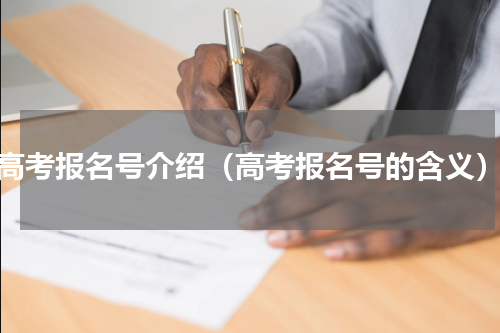 高考报名号介绍（高考报名号的含义）