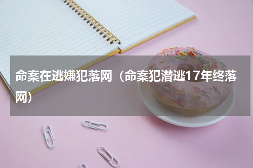 命案在逃嫌犯落网（命案犯潜逃17年终落网）