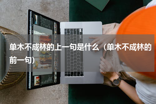 单木不成林的上一句是什么（单木不成林的前一句）