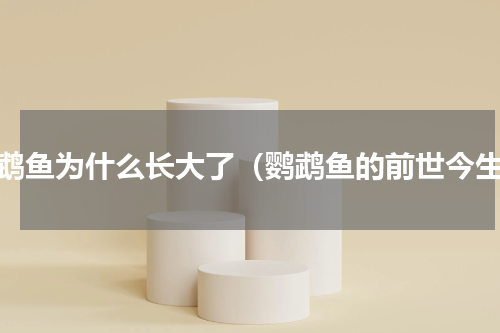 鹦鹉鱼为什么长大了（鹦鹉鱼的前世今生）