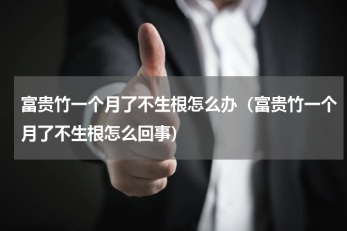 富贵竹一个月了不生根怎么办（富贵竹一个月了不生根怎么回事）