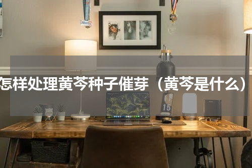 怎样处理黄芩种子催芽（黄芩是什么）