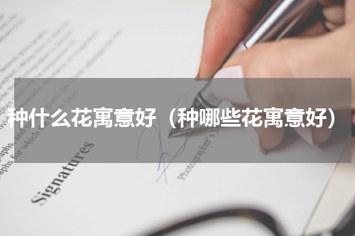 种什么花寓意好（种哪些花寓意好）