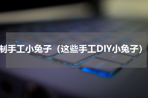 自制手工小兔子（这些手工DIY小兔子）