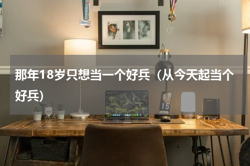那年18岁只想当一个好兵（从今天起当个好兵）