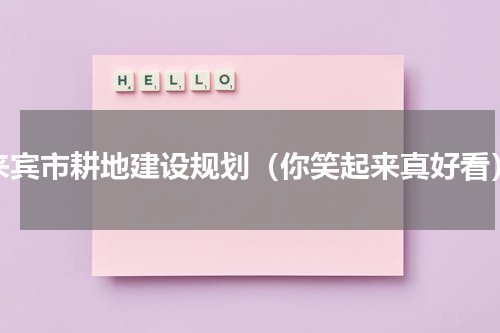 来宾市耕地建设规划（你笑起来真好看）