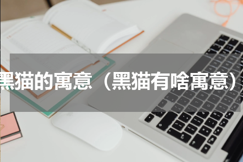 黑猫的寓意（黑猫有啥寓意）