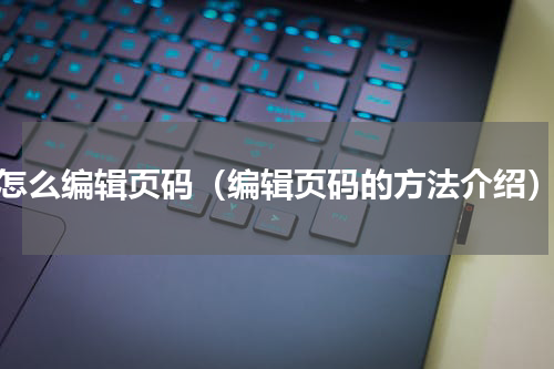 怎么编辑页码（编辑页码的方法介绍）