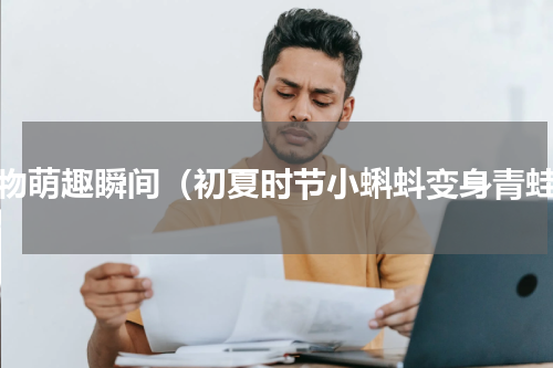 动物萌趣瞬间（初夏时节小蝌蚪变身青蛙）