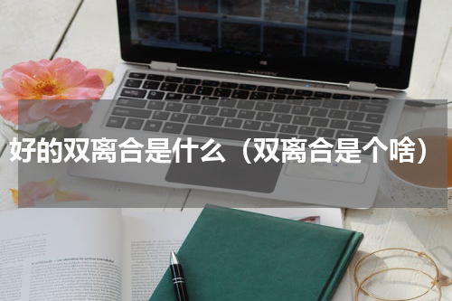 好的双离合是什么（双离合是个啥）