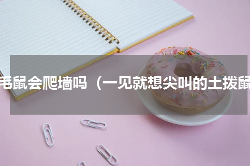 黄毛鼠会爬墙吗（一见就想尖叫的土拨鼠）