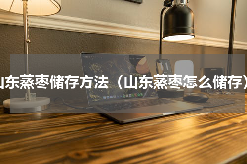 山东蒸枣储存方法（山东蒸枣怎么储存）