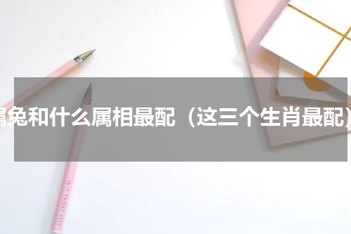 属兔和什么属相最配（这三个生肖最配）
