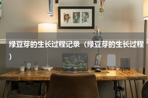 绿豆芽的生长过程记录（绿豆芽的生长过程）