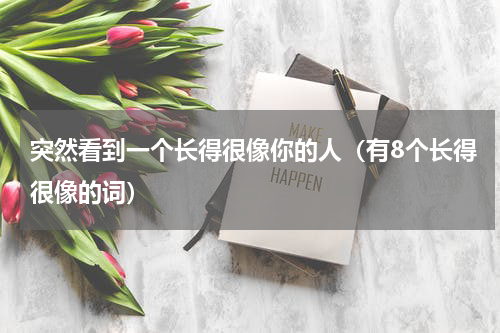 突然看到一个长得很像你的人（有8个长得很像的词）